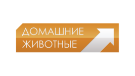 Домашние животные